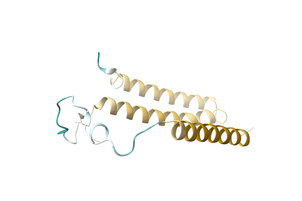 AF-A0A172EXA4-F1 image