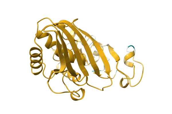 AF-A0A172LN11-F1 image