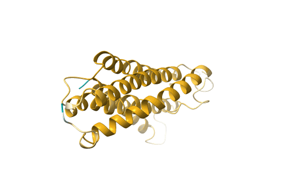 AF-A0A172NKS8-F1 image