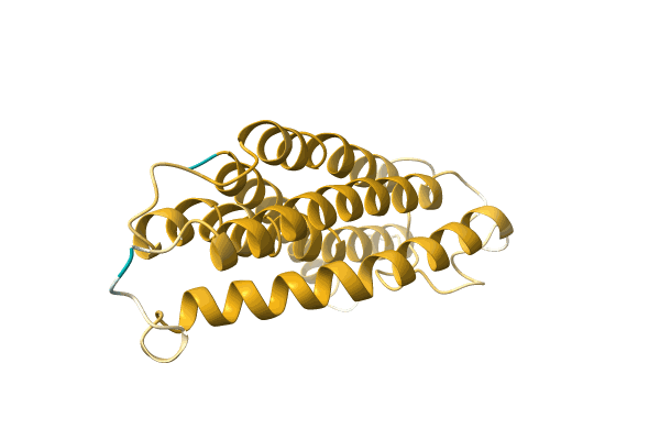 AF-A0A172NLL6-F1 image