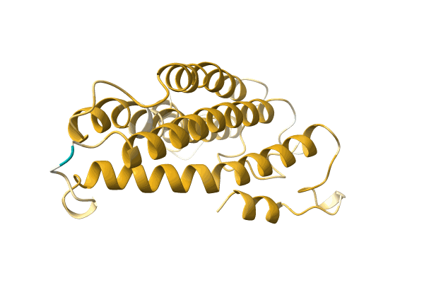 AF-A0A172R2I5-F1 image