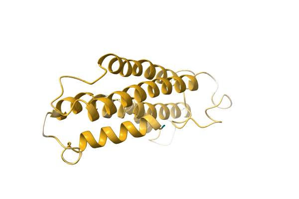 AF-A0A173D0H8-F1 image