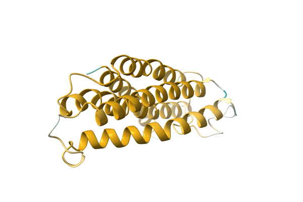 AF-A0A173D2G8-F1 image