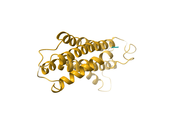 AF-A0A173D5D4-F1 image