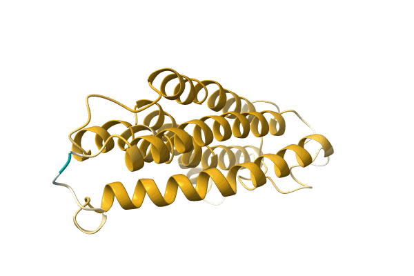 AF-A0A173D798-F1 image