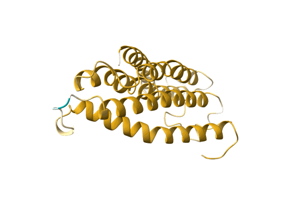 AF-A0A173DCQ0-F1 image