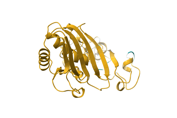 AF-A0A182BP88-F1 image