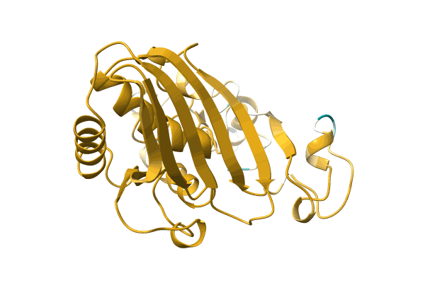 AF-A0A182BP90-F1 image