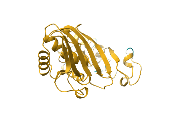 AF-A0A182BP91-F1 image