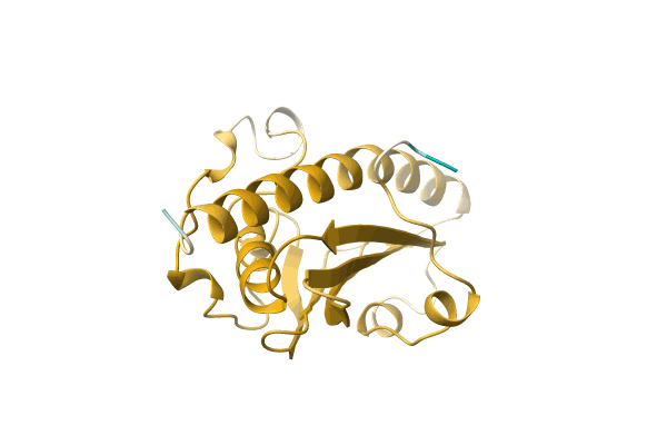 AF-A0A1A3QR05-F1 image