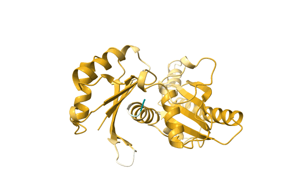 AF-A0A1A7BJ75-F1 image