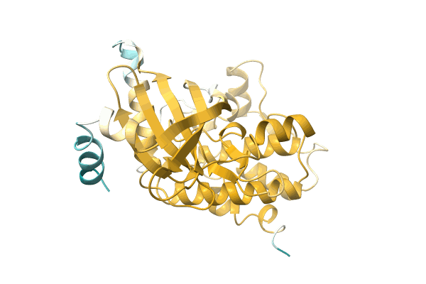 AF-A0A1A8WX93-F1 image