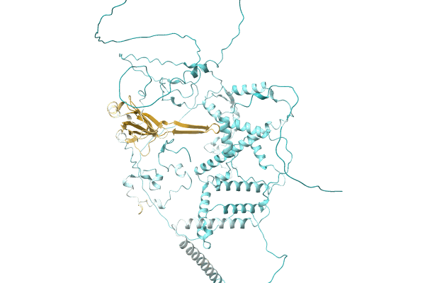 AF-A0A1A8WXA8-F1 image