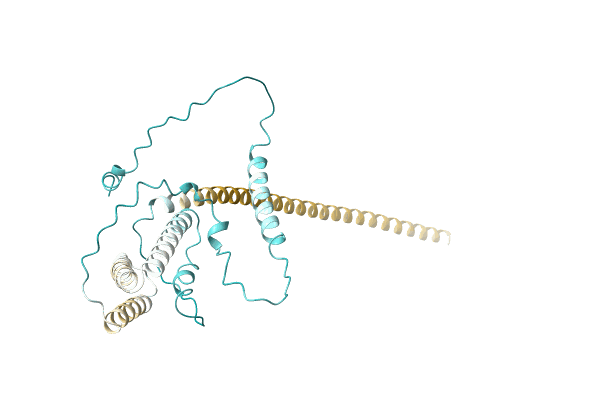 AF-A0A1A8WXC5-F1 image