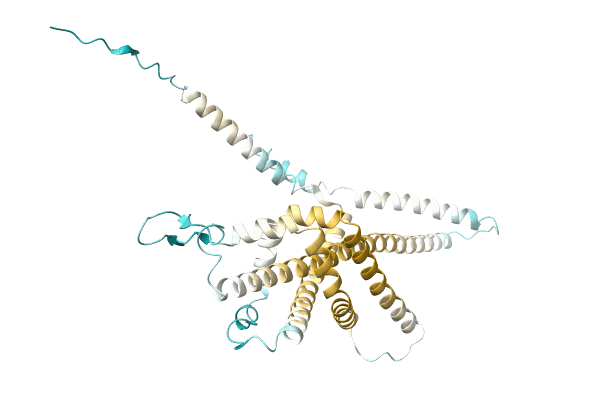 AF-A0A1A8WXH7-F1 image