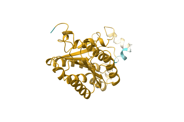AF-A0A1A9TAK5-F1 image