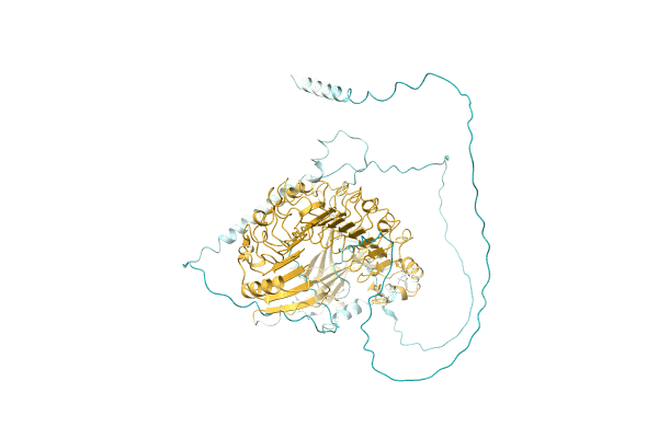 AF-A0A1B0F9D8-F1 image