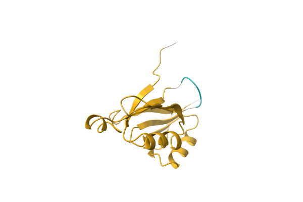 AF-A0A1B1B1V5-F1 image