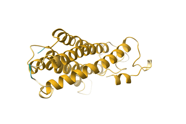 AF-A0A1B1D1U8-F1 image