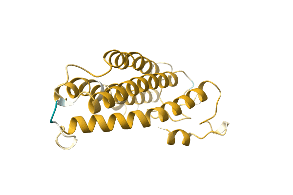 AF-A0A1B1D2G6-F1 image