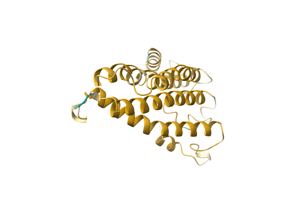 AF-A0A1B1D349-F1 image