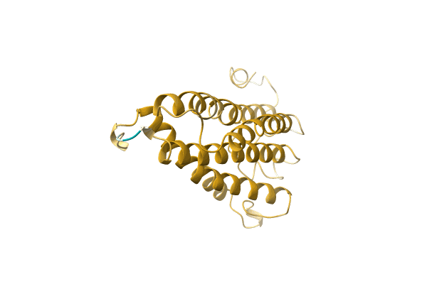 AF-A0A1B1D470-F1 image