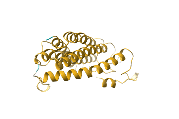 AF-A0A1B1D7Q7-F1 image