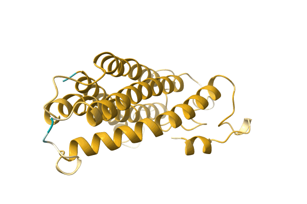 AF-A0A1B1D9M3-F1 image