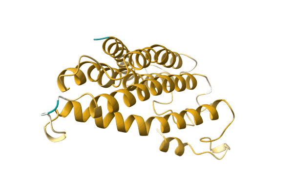 AF-A0A1B1DC44-F1 image