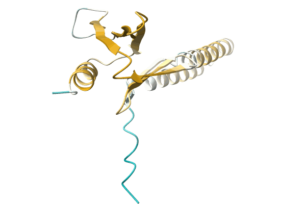 AF-A0A1B1NFA5-F1 image