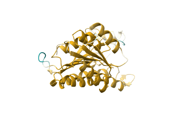 AF-A0A1B1NFA8-F1 image