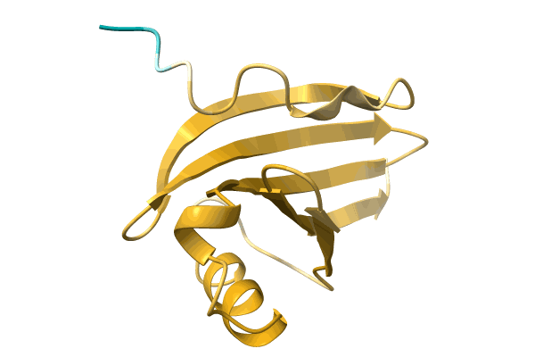 AF-A0A1B1Q140-F1 image