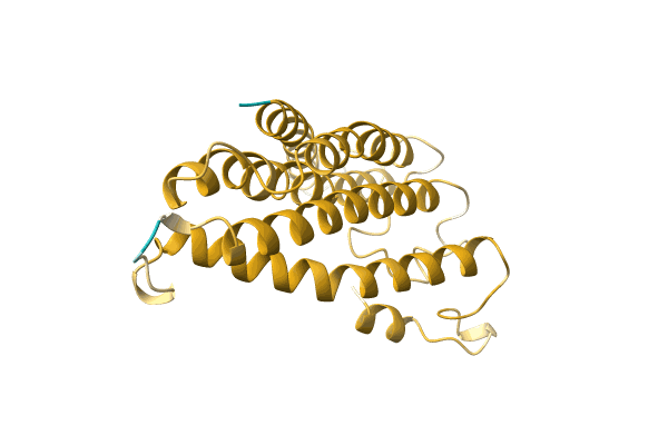 AF-A0A1B1Q6E3-F1 image