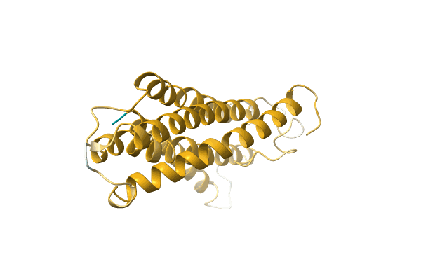 AF-A0A1B1Q7N9-F1 image