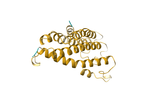 AF-A0A1B1Q7P8-F1 image