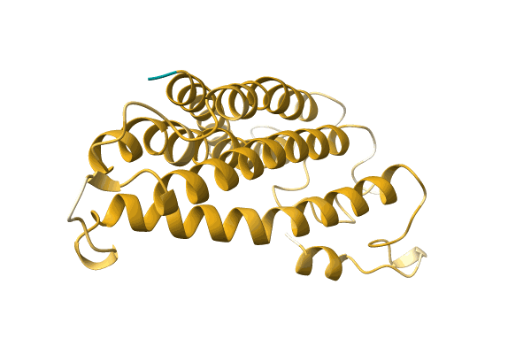 AF-A0A1B1Q8N5-F1 image