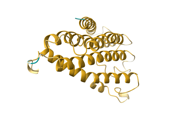 AF-A0A1B1Q8R5-F1 image