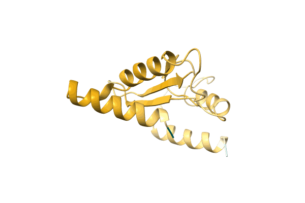 AF-A0A1B1R1M8-F1 image