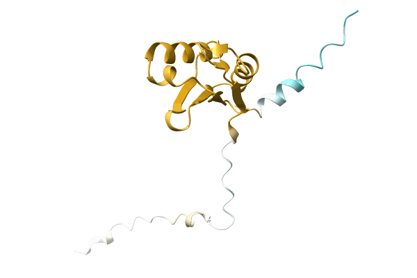 AF-A0A1B1R1Q2-F1 image