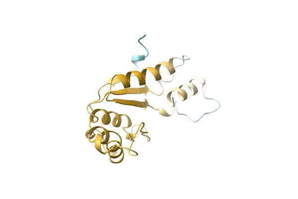 AF-A0A1B1R1Y3-F1 image