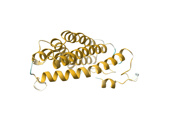 AF-A0A1B1RIL4-F1 image