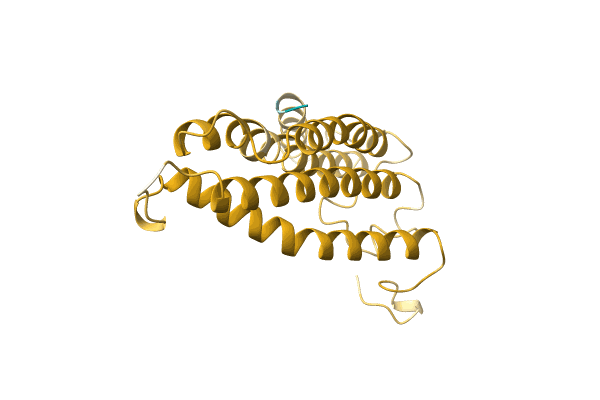 AF-A0A1B1RIQ3-F1 image