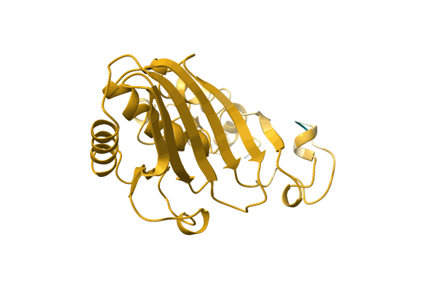 AF-A0A1B1W3W2-F1 image