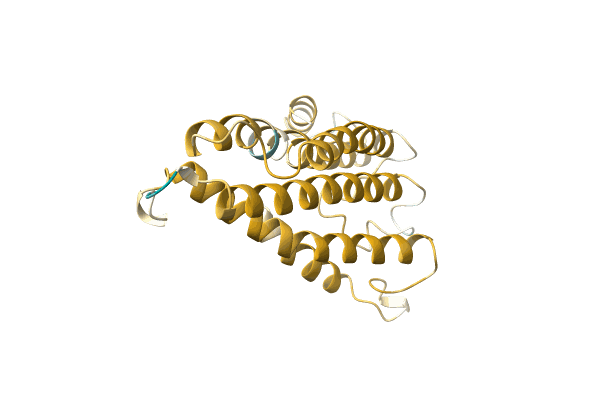 AF-A0A1B1XVV8-F1 image