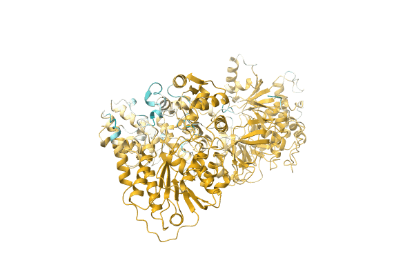 AF-A0A1B1ZGB5-F1 image