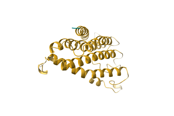 AF-A0A1B2CMX1-F1 image