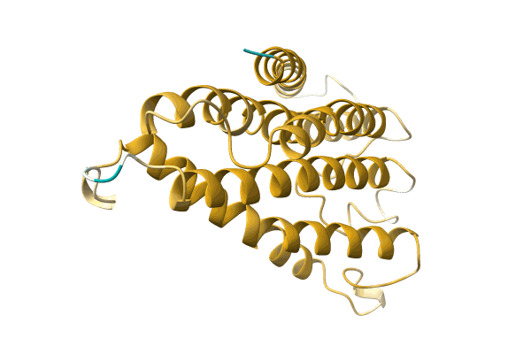 AF-A0A1B2LT46-F1 image