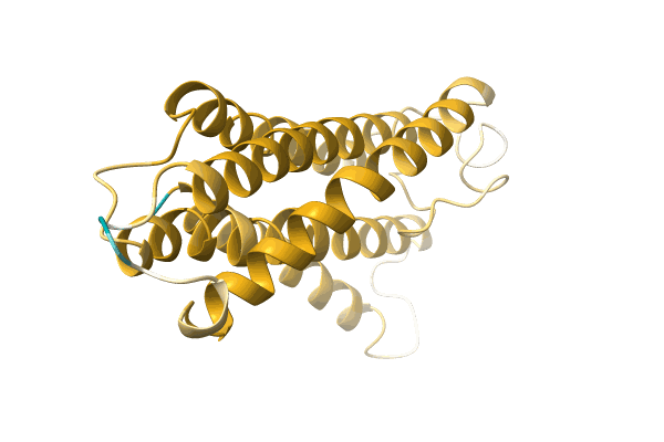 AF-A0A1B2N9I8-F1 image