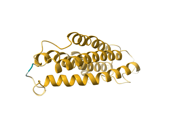 AF-A0A1B2NCA9-F1 image