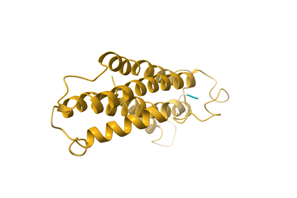 AF-A0A1B2NEW2-F1 image